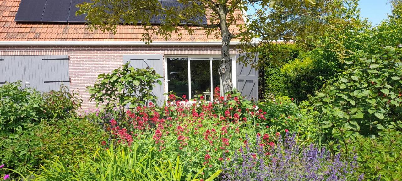 Apartament Het Sonnehuys Nieuwland  Zewnętrze zdjęcie